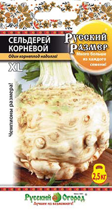 Сельдерей РУССКИЙ РАЗМЕР корневой 100шт (НК)