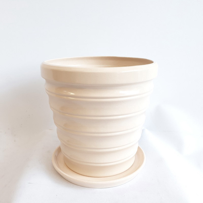 Бамбук №2 5,5л (в.21,8 д.23) (В)