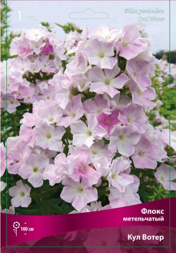 Флокс Кул Вотер 1шт (Поиск)