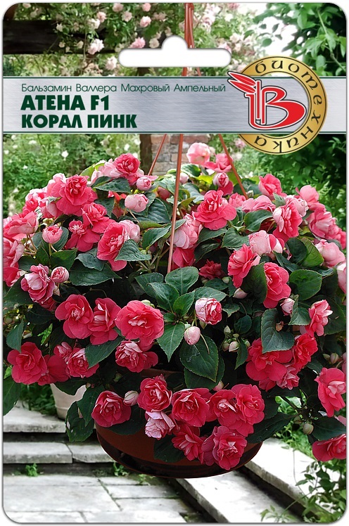 Бальзамин Валлера махровый Атена F1 Корал Пинк однолетник 8шт (Биотехника)