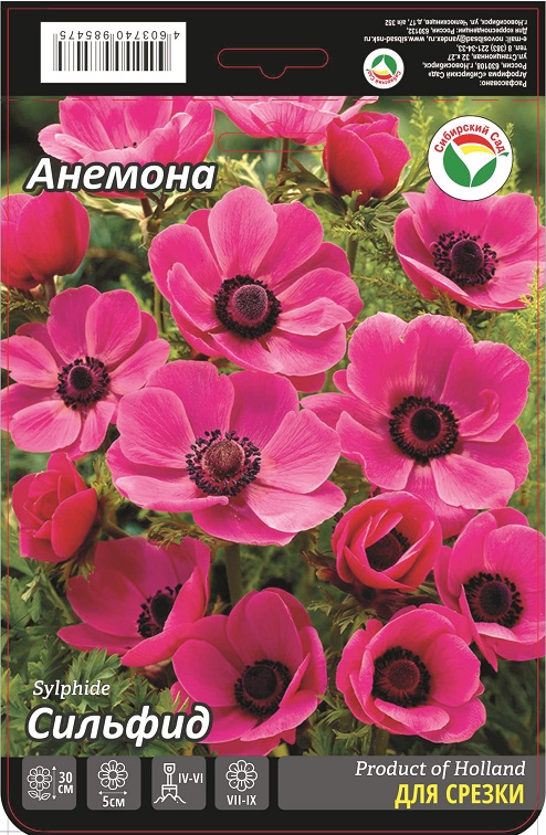 Анемона Сильфид 5/6 15шт (Сиб сад)