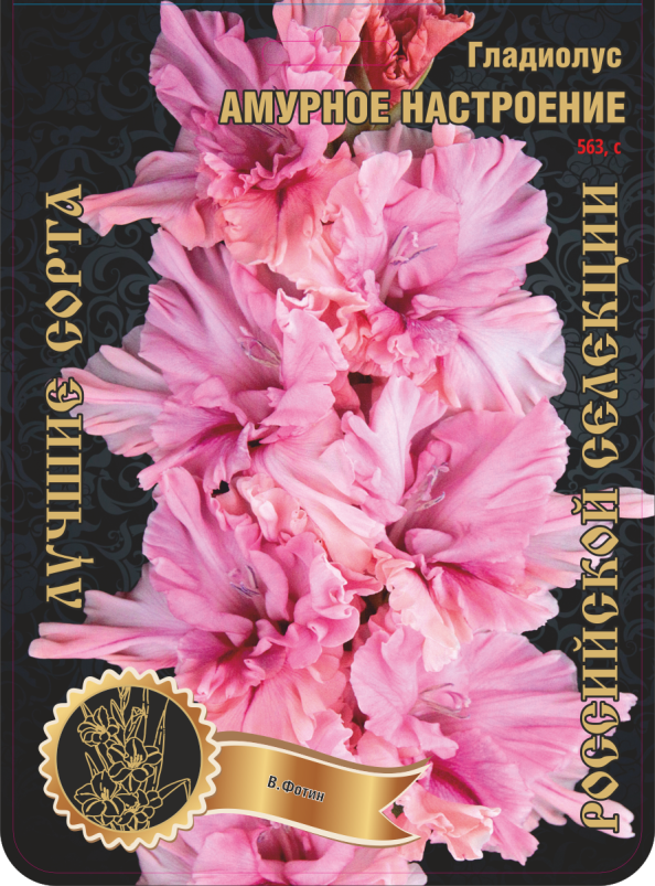 Гладиолус Амурное Настроение 563,Фрези 1 р-р 1шт (Ф)