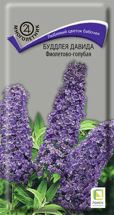 Буддлея Давида Фиолетово-голубая многолетник 0,01г (Поиск)