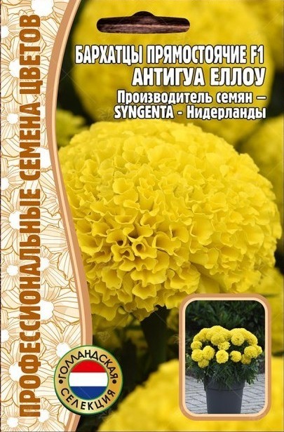 Бархатцы Antigua Yellow однолетник 5шт (Ред.Сем)