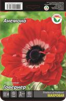 Анемона Говернер 5/6 15шт (Сиб сад)
