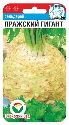 Сельдерей Пражский гигант корневой 0,5г (Сиб сад)