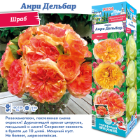 Роза Анри Дельбар (Чайно-гибридная) 1шт (Сиб сад)