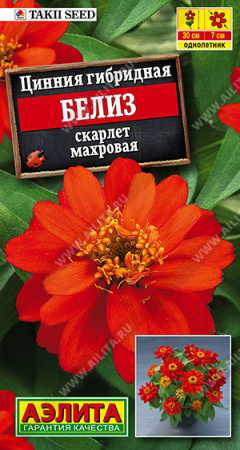 Цинния Белиз скарлет махровая 5шт (Аэлита)