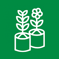 Саженцы в контейнерах (Питомник)