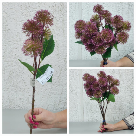 Ветка Чертополоха SBPL2025-30 (Сиб Сад)