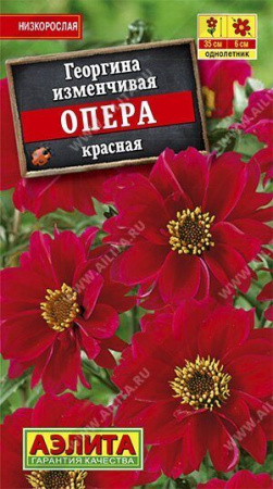 Георгина Опера красная 7шт (Аэлита)