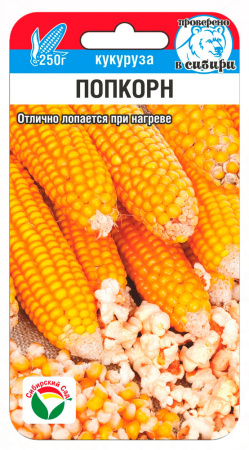 Кукуруза Попкорн 10шт (Сиб сад)