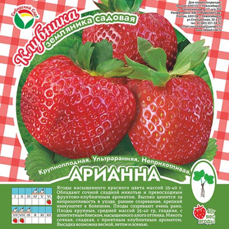 Клубника Арианна А 10шт/пучок (Сиб сад)