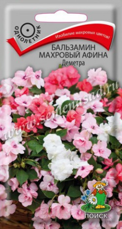 Бальзамин АФИНА Деметра махровый однолетник 5шт (Поиск)
