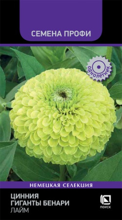 Цинния ГИГАНТЫ БЕНАРИ Лайм Профи 10шт (Поиск)
