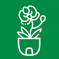 Горшки для орхидей