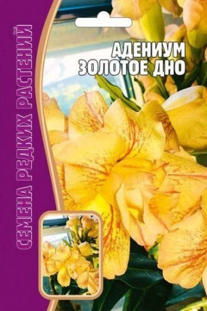 Адениум Золотое Дно 3шт (Ред.Сем)