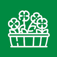 Многолетники