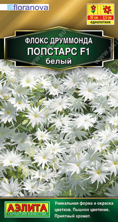 Флокс Друм ПОПСТАР F1 белый 5шт (Аэлита)