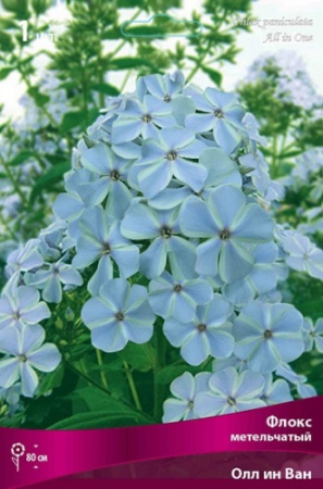 Флокс Олл ин Ван 1шт (Поиск)